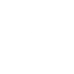 Store logo 1